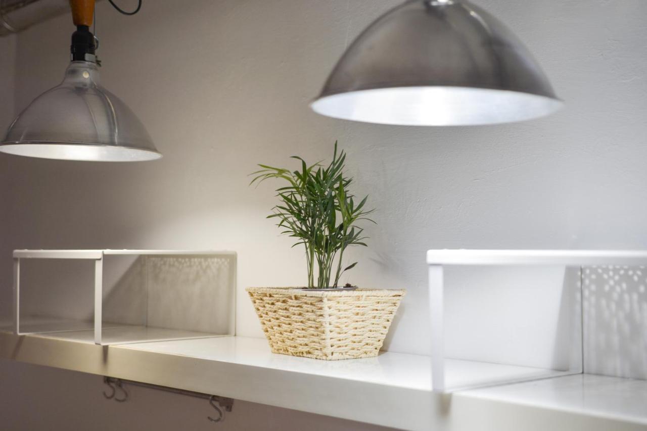 San Pierino Apartment פירנצה מראה חיצוני תמונה
